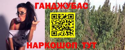 эйфоретик Коммунар