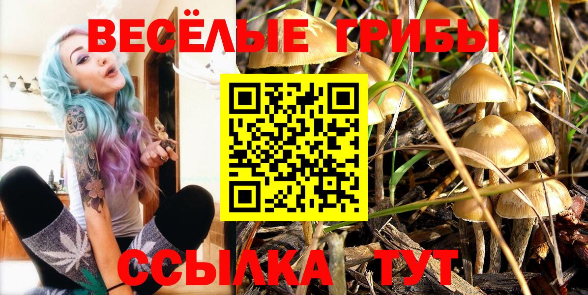 Псилоцибиновые грибы Psilocybe  Псилоцибиновые грибы Psilocybe  Вход с VPN  Мыски 