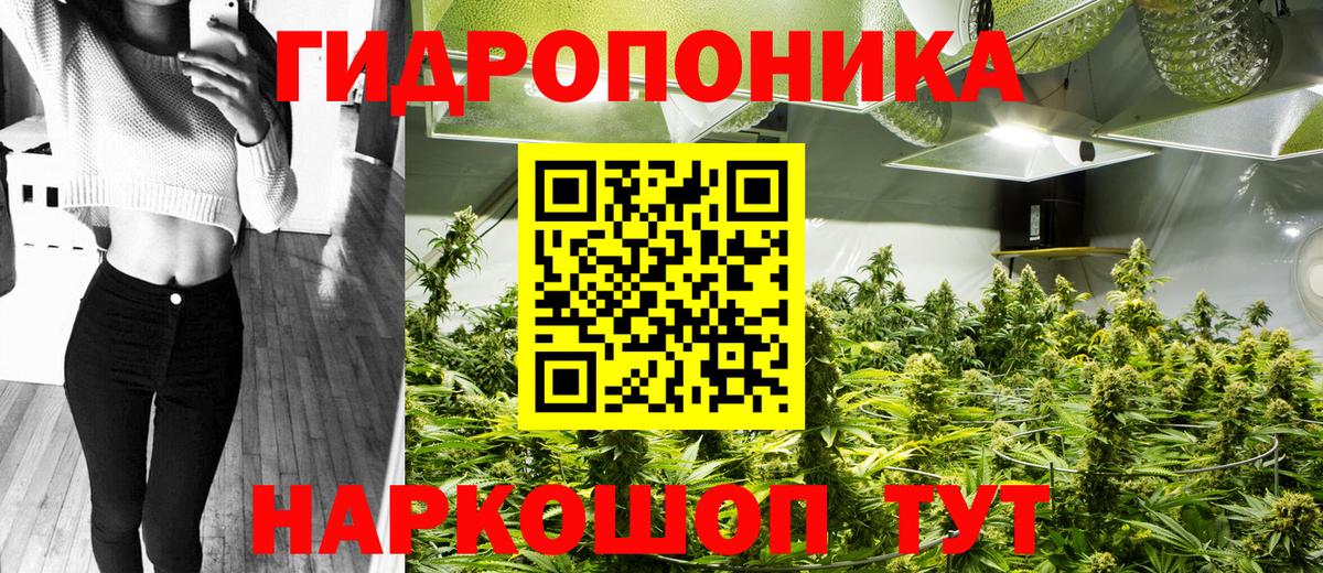Конопля Amnesia  Каннабис Bruce Banner  Бошки марихуана индика  Мыски  Вход с VPN 
